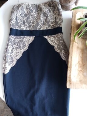 AX Paris Navy Pencil Skirt with Beige Lace Panels